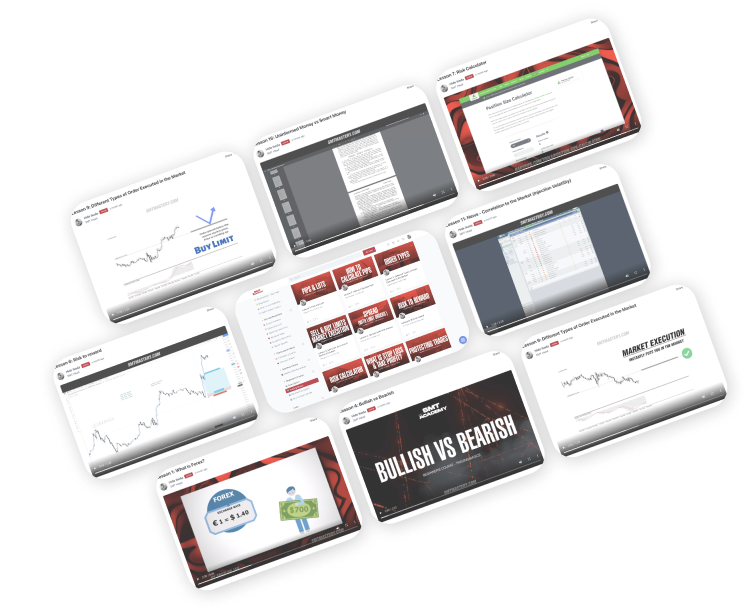 Curriculum
